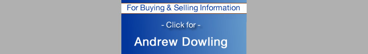andrew dowling davis ca home buying information
